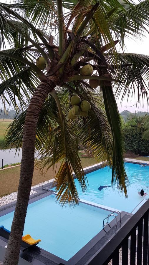 Kotugoda Grand Riverine Bed & Breakfast エクステリア 写真